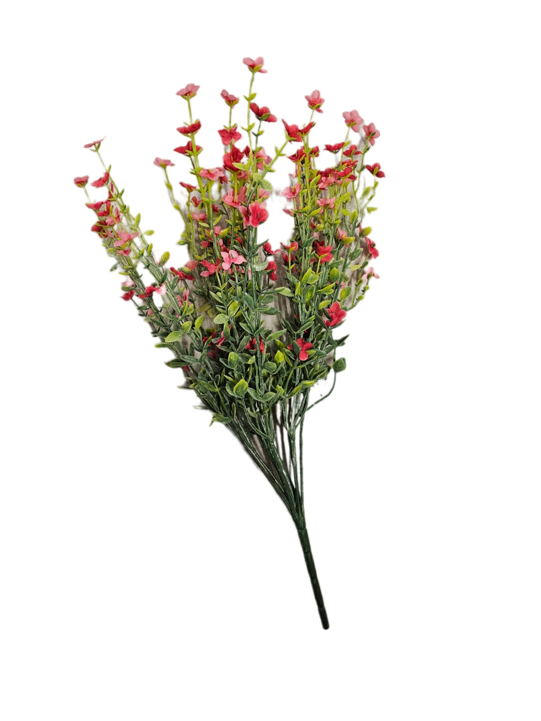 Blomsterbusk Rosa 45 cm