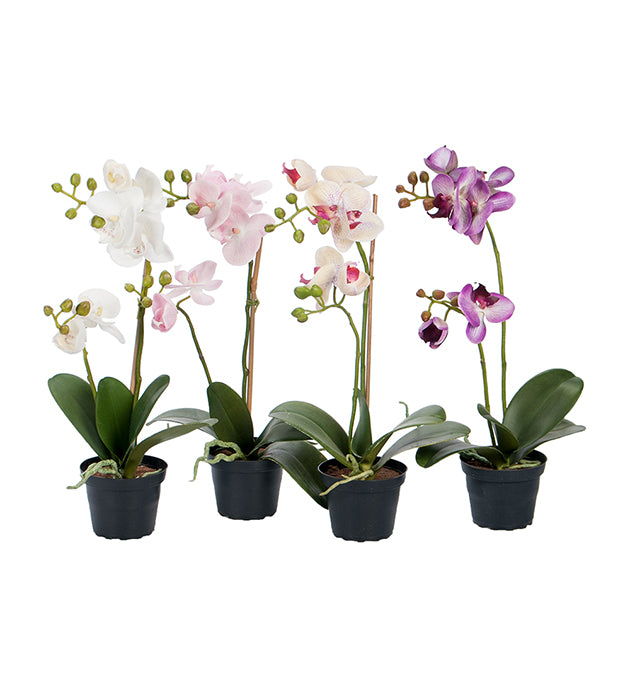 Orkide 45 cm.